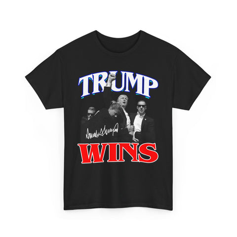 TRUMP WINS 2024 Vintage Style T-Shirt Assorted Colors